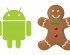 Android Gingerbread